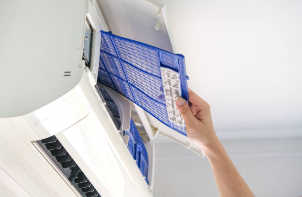 Air Duct Mold Removal in Indian River, MI